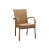 Ascea Armchair