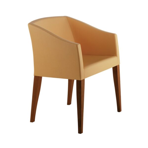 ELISA armchair
