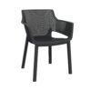 ELISA armchair
