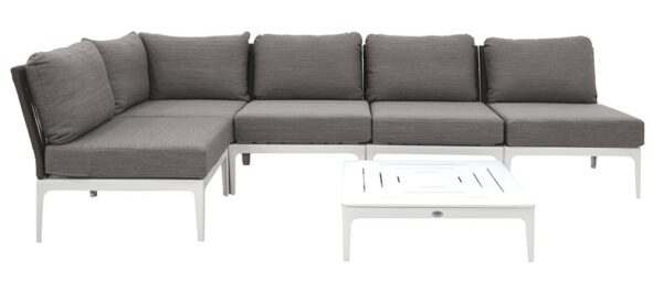 LAURENT Central Module