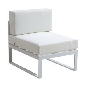 MANHATTAN Central Module